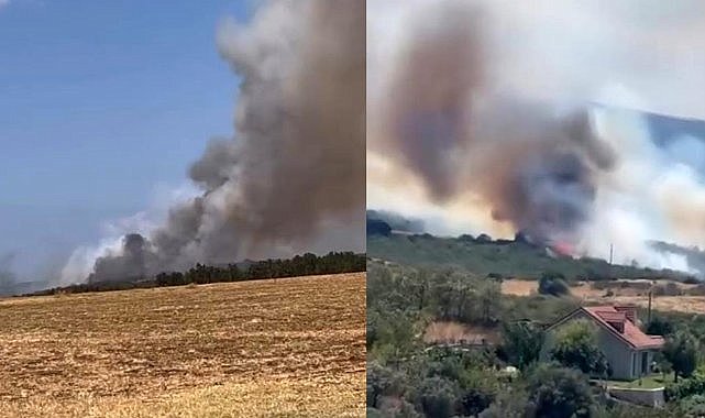 Bursa’da orman yangını, çok sayıda ekip müdahale ediyor