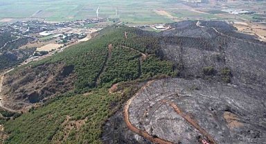 Bursa’da yanan ormandan geriye gri görüntü kaldı