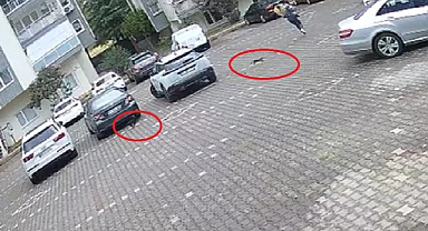 Bursa'da yavru kediler, önlerine kattıkları kadını evine kadar kovaladı