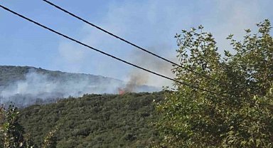 Bursa’daki orman yangını kontrol altına alındı
