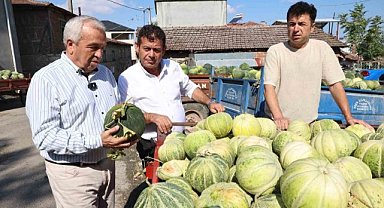 Bursa’nın ünlü Konaklı kavununda üretim iki kat arttı