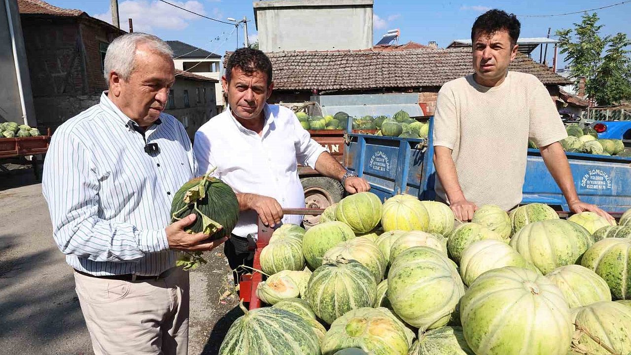 Bursa’nın ünlü Konaklı kavununda üretim iki kat arttı