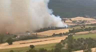 Bursa Yenişehir’de orman yangını