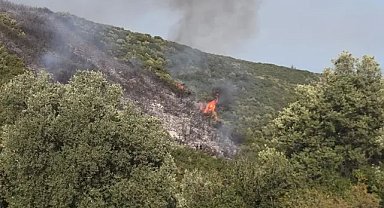 Gedelek yangını ile ilgili 1 kişi gözaltına alındı