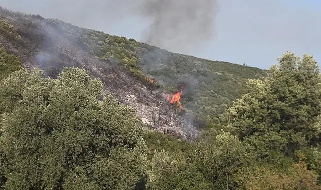 Gedelek yangını ile ilgili 1 kişi gözaltına alındı