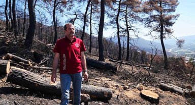 Gürsu'da 3 bin kilo tohum, yanan bölgelerde toprakla buluşacak