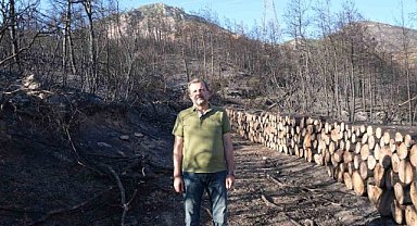 Gürsu’da milli ağaçlandırma gününde kampanya düzenlenecek