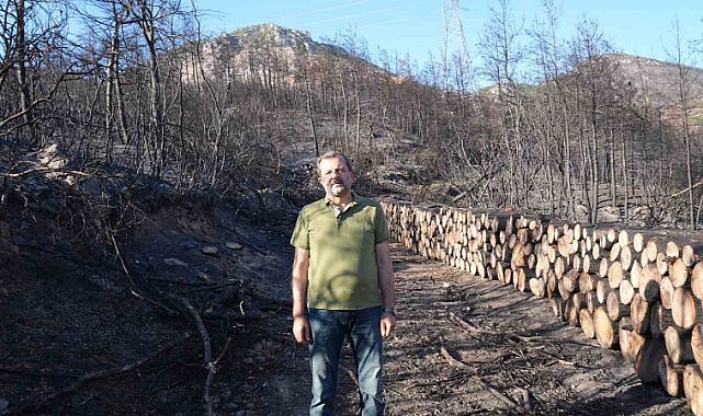 Gürsu’da milli ağaçlandırma gününde kampanya düzenlenecek