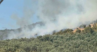 İznik’te orman yangını