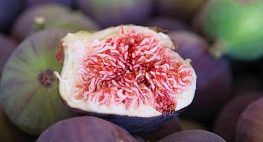 Kraliçe incirinde hasat ve ihracat başladı