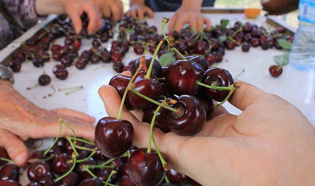 Meyve sebze ihracatçısı ürün eksikliği ve dövizle boğuşuyor