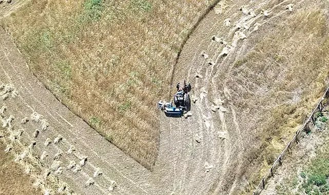 Ordu'da fındığın yerini aldı, üretim bin 500 kat arttı!