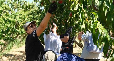 Şeftalinin 120 çeşidiyle ’koleksiyon bahçesi’ oluşturdular