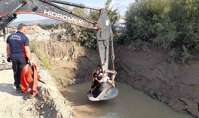 Tokat Erbaa'da gölete düşen inekler kepçe ile kurtarıldı