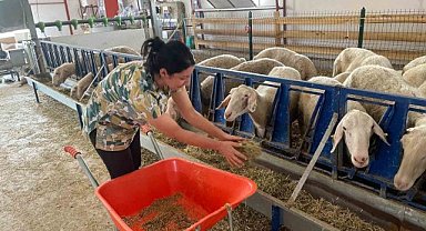 Veteriner genç kadın, kendi işletmesini kurdu