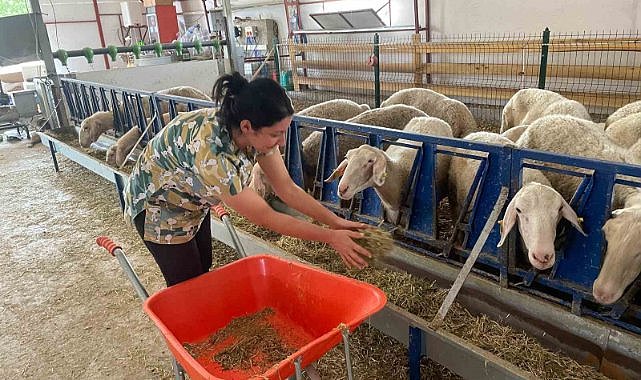 Veteriner genç kadın, kendi işletmesini kurdu
