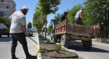 Zile’de Kuru Peyzaj Uygulaması Yaygınlaşıyor