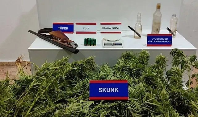 Karaman’da 27 bin 500 adet makaron ele geçirdi