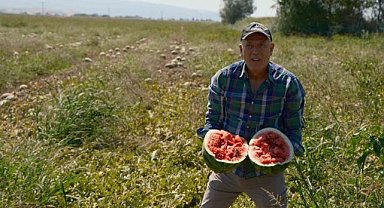 Sözleşmeli ekti 3 bin 500 ton karpuzu tarlada kaldı
