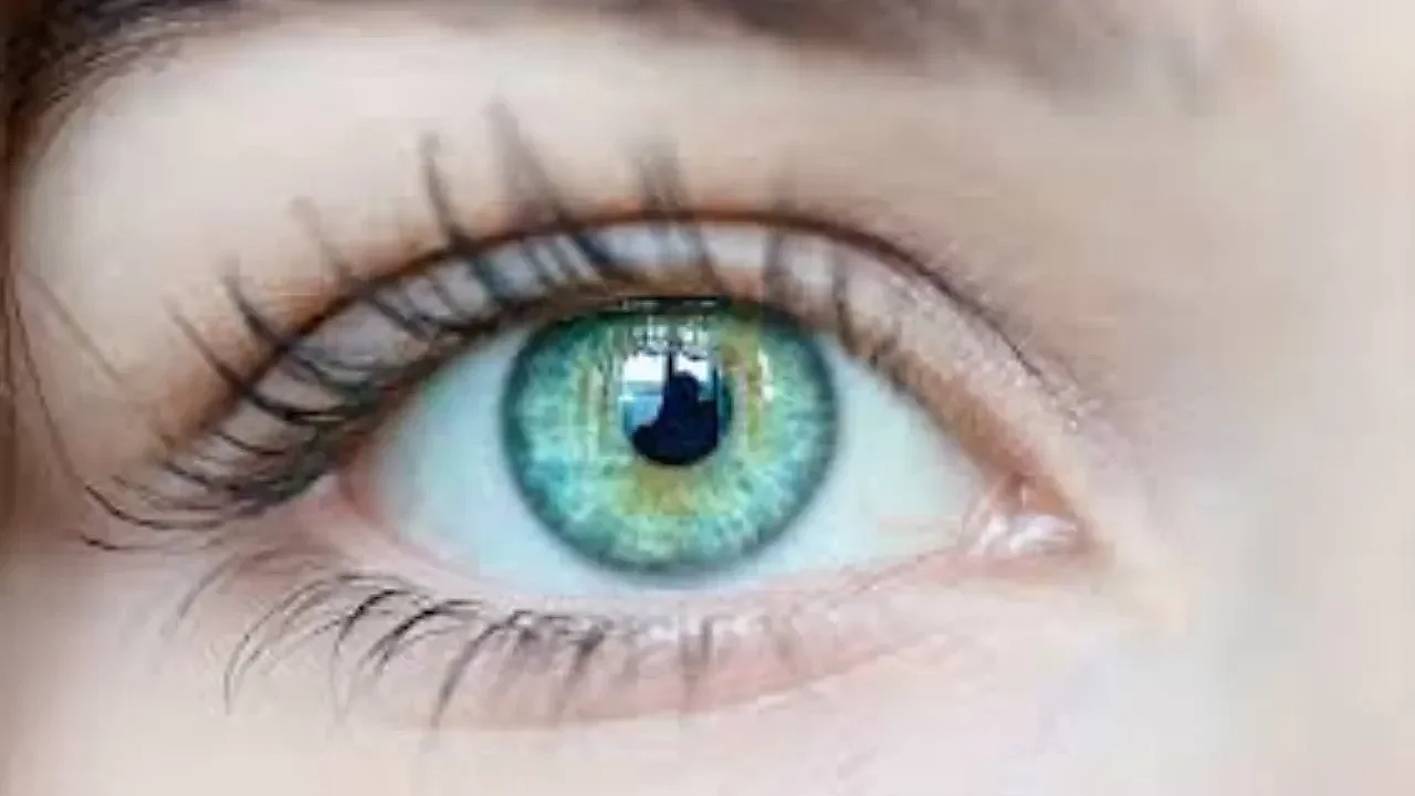 KORUYUCU SAĞLIK | Glokom'dan Korunmanın Yolları: 40 Yaş Üstü Kimler Göz Tansiyonunu Kontrol Ettirmeli?