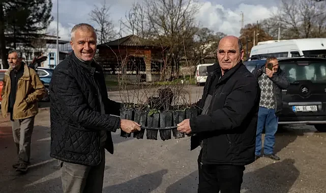 Bursa Büyükşehir’den üreticiye 26 bin 710 fide ve fidan desteği