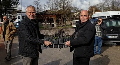 Bursa Büyükşehir’den üreticiye 26 bin 710 fide ve fidan desteği