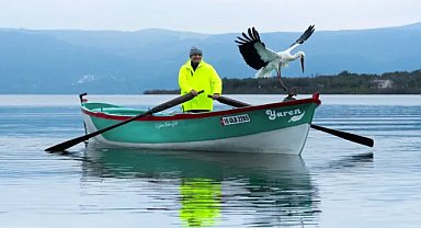 Yaren leylek yeniden Bursa'da!
