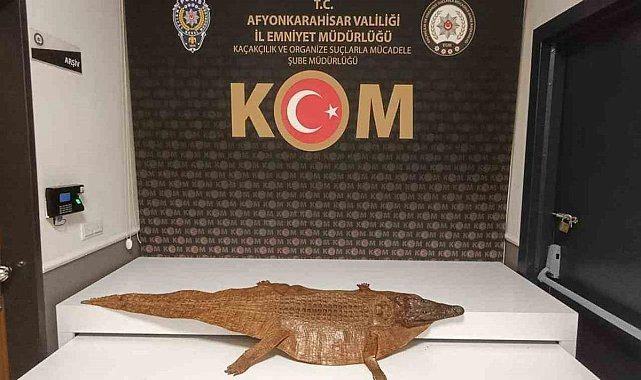 Afyonkarahisar’da araçta timsah derisi ele geçirildi