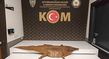 Afyonkarahisar’da araçta timsah derisi ele geçirildi