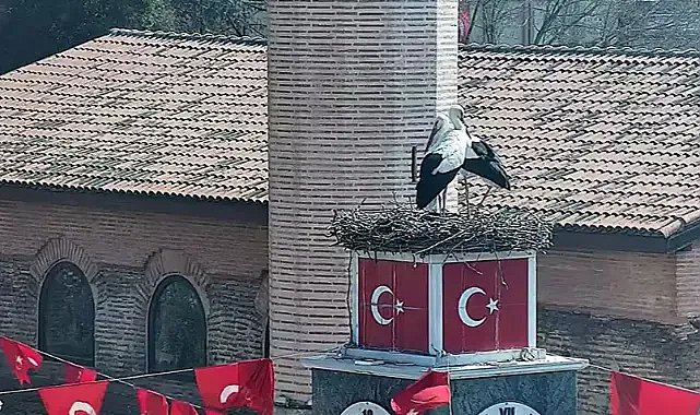Avrupa'da Türkiye'yi Bursa'nın köyü temsil ediyor!