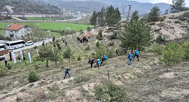 Bartın'da hükümlüler fidan dikti