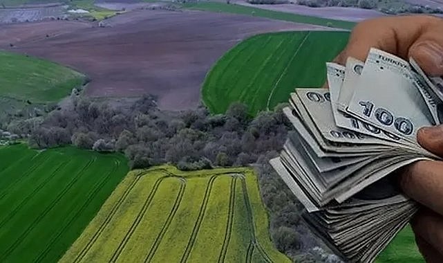 Bursa’da milyonluk taşınmazlar ihaleye çıkıyor: Tarih belli oldu