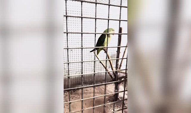 Bursa’da şok baskın! Hemen el konuldu