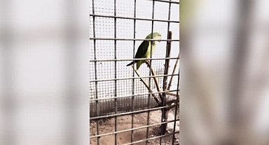 Bursa’da şok baskın! Hemen el konuldu