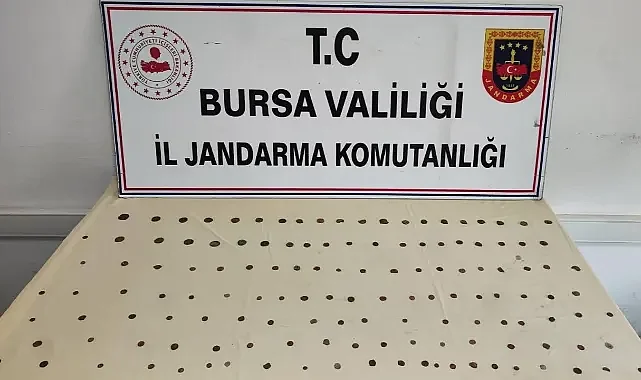 Bursa'da tarihi eser operasyonu! Onlarca sikke ele geçirildi