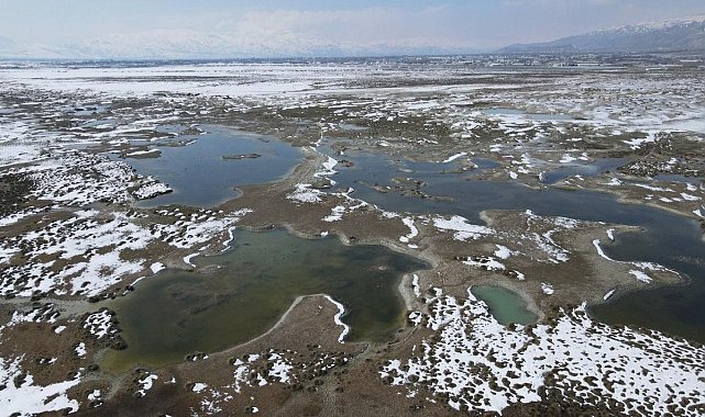 Ekşisu Kuş Cenneti’nde hayran bırakan manzara!