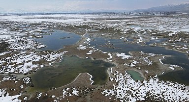 Ekşisu Kuş Cenneti’nde hayran bırakan manzara!