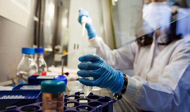 Kansere karşı yeşil kalkan! Oxford’un son araştırması ezber bozdu