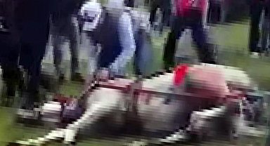 Koşmadığı için döve döve atı bayıltmışlardı! O canilere ibretlik ceza