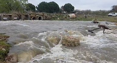 Kuruyan dere coştu, İznik Gölü’ne umut oldu