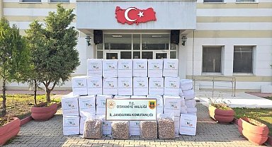 Osmaniye’de jandarma bir haftada 109 şüpheliyi yakaladı