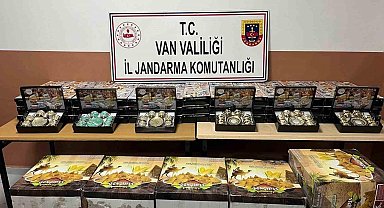 Van’da gümrük kaçakçılığı operasyonu
