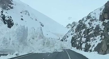 Van-Hakkari karayoluna çığ düştü
