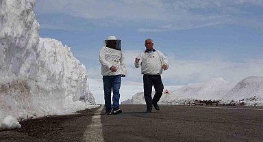 2581 rakımda arıcılardan yol açma çağrısı