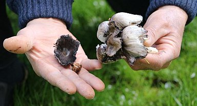 Bahar geldi, risk arttı: Ciddi zehirlenmelere yol açıyor!