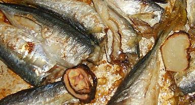 Bayıla bayıla yediğimiz balık yok oluyor