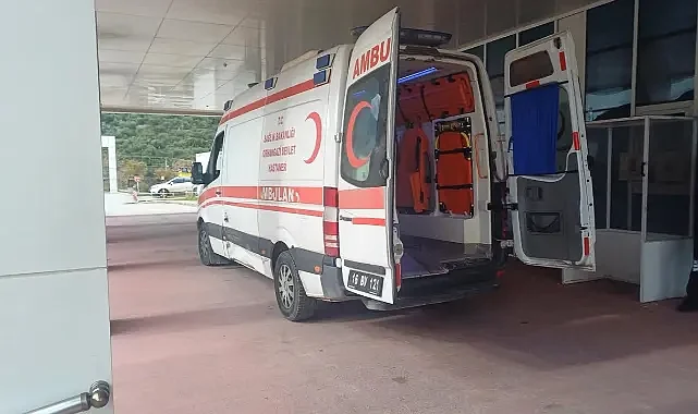 Bursa'da acı ölüm! Ecel tarlada yakaladı