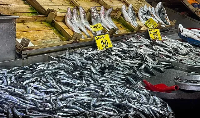 Bursa'da av yasağı öncesi balık fiyatları! Zirve levrekte...