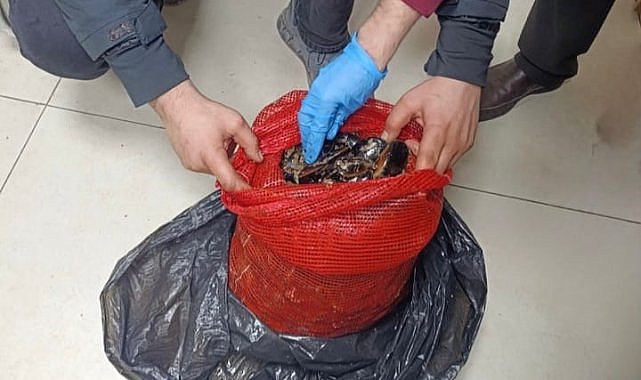 Bursa’da operasyon: Tonlarcası ele geçirildi!