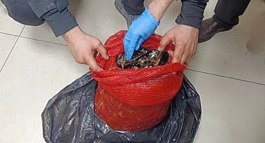 Bursa’da operasyon: Tonlarcası ele geçirildi!